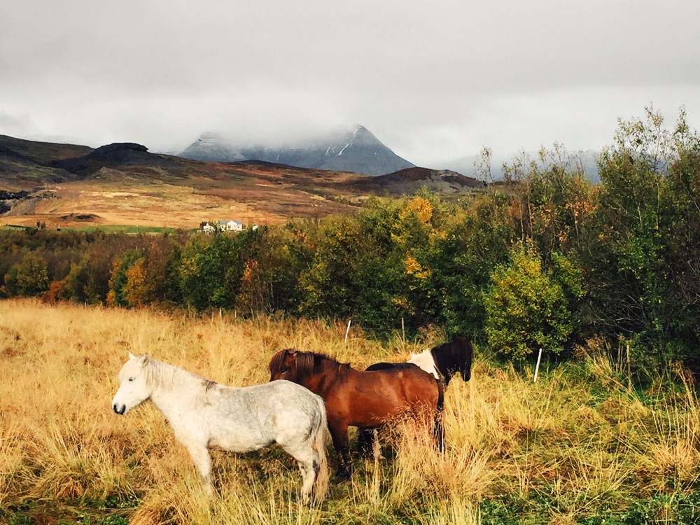 Processed with VSCOcam with c2 preset