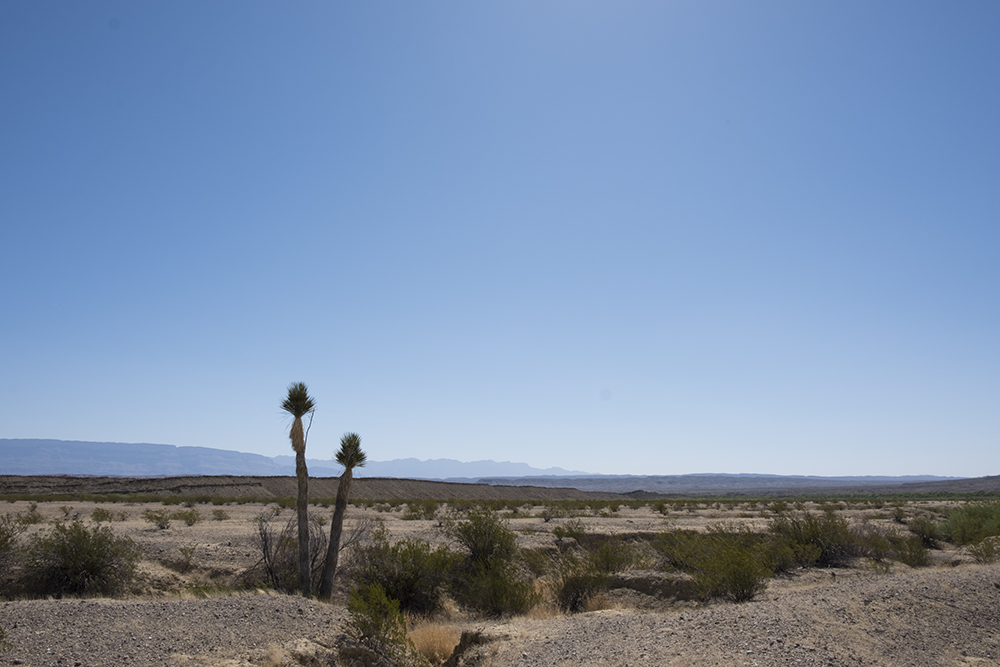 DSCF2192 back country