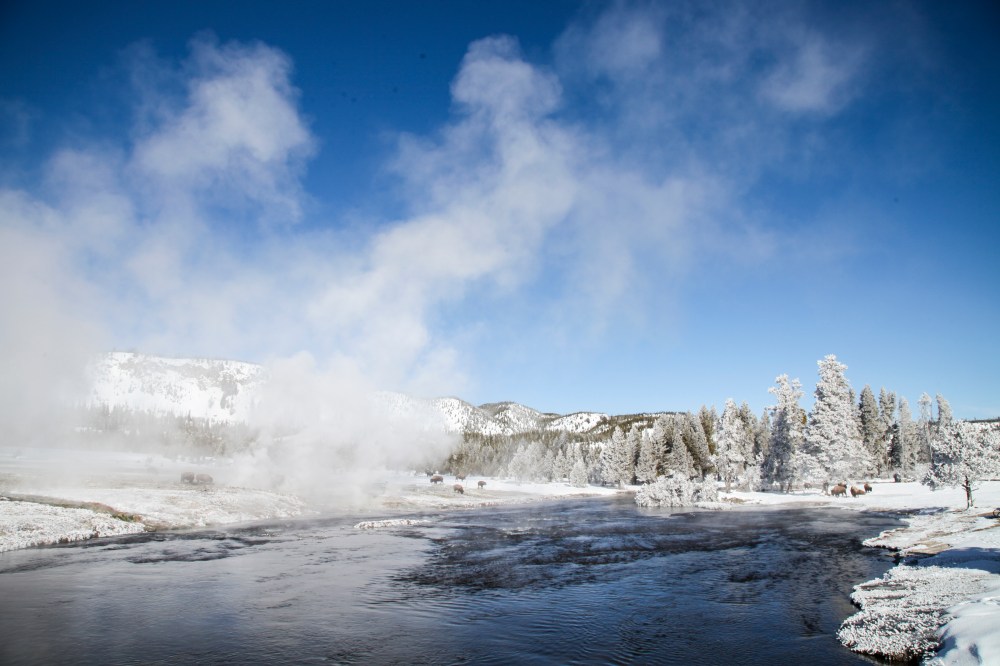 Winter in Yellowstone National Park – Adventure on Y'all : Travel ...
