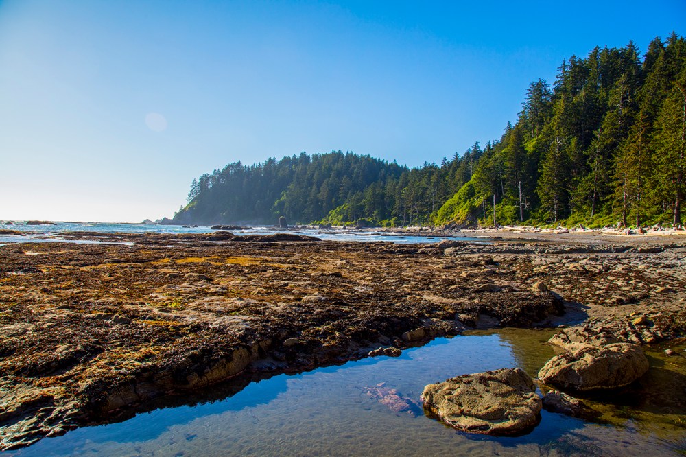 NW Coast 2017-70 tre.jpg